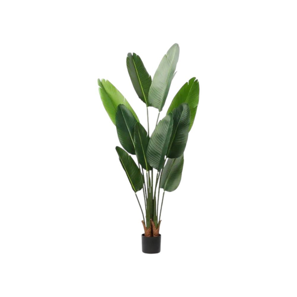 63" Green Artificial Banana Leaf Tree In Cylindrical Black Cement Pot HomeRoots
