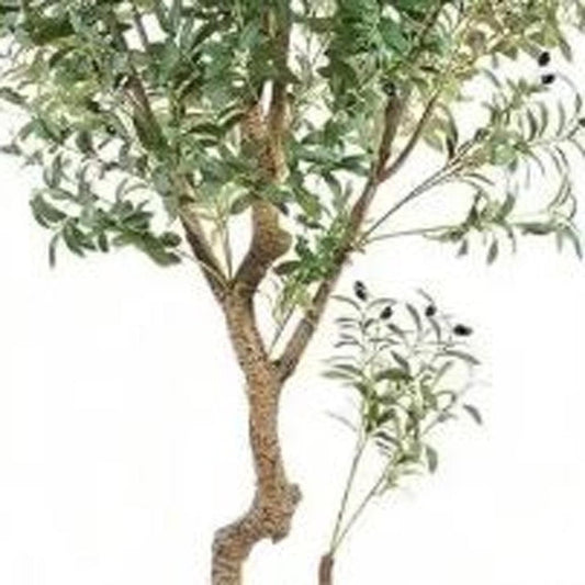87" Green Artificial Olive Tree In Cylindrical Black Cement Pot HomeRoots