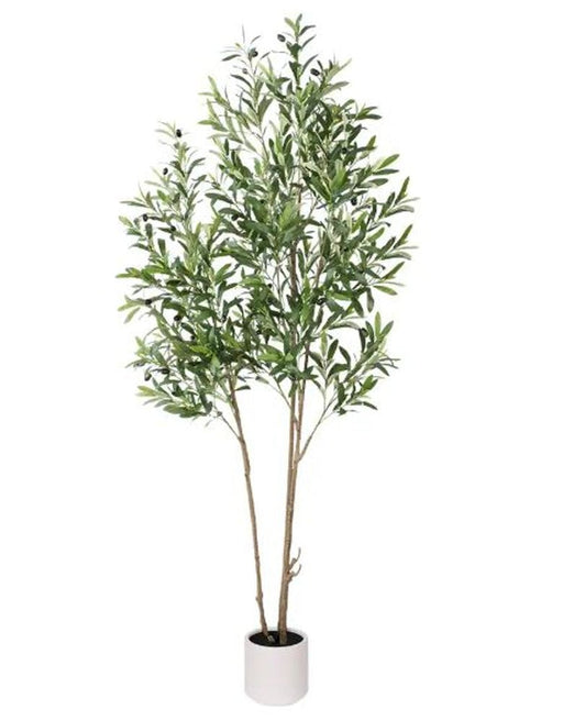 71" Green Artificial Olive Tree In Cylindrical White Cement Pot HomeRoots