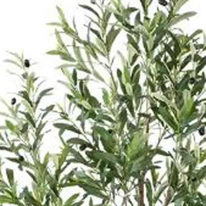 71" Green Artificial Olive Tree In Cylindrical White Cement Pot HomeRoots