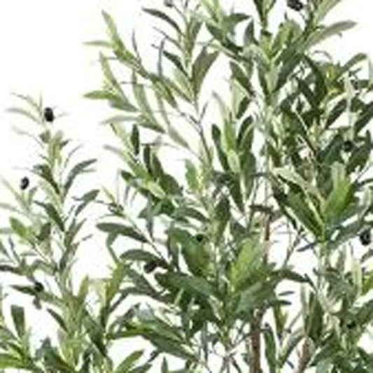 71" Green Artificial Olive Tree In Cylindrical White Cement Pot HomeRoots