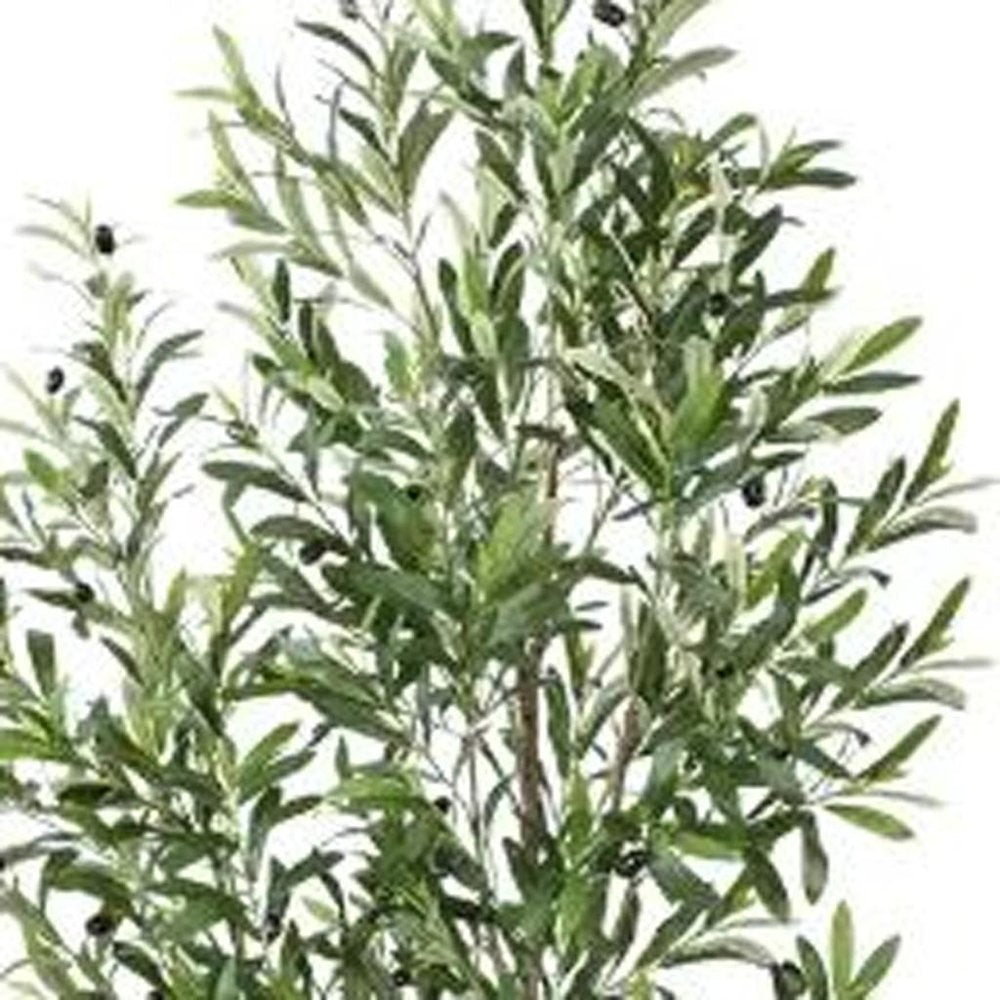 71" Green Artificial Olive Tree In Cylindrical White Cement Pot HomeRoots