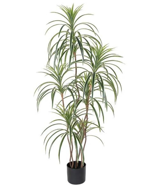 63" Green Artificial Dracaena Tree In Cylindrical Black Cement Pot HomeRoots