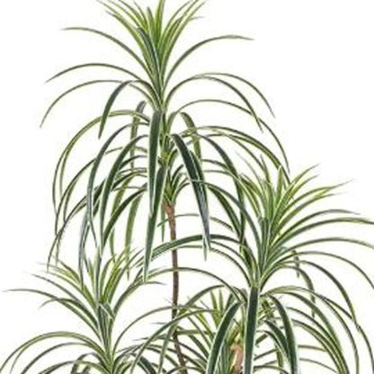 63" Green Artificial Dracaena Tree In Cylindrical Black Cement Pot HomeRoots