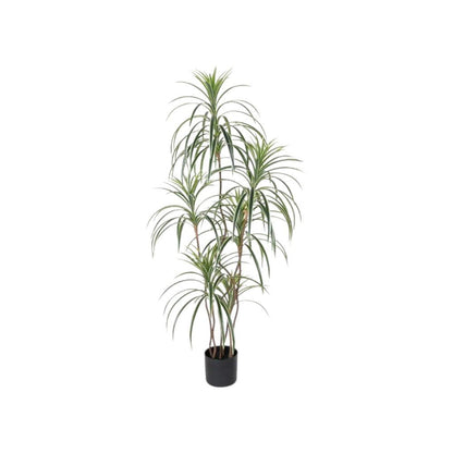 63" Green Artificial Dracaena Tree In Cylindrical Black Cement Pot HomeRoots