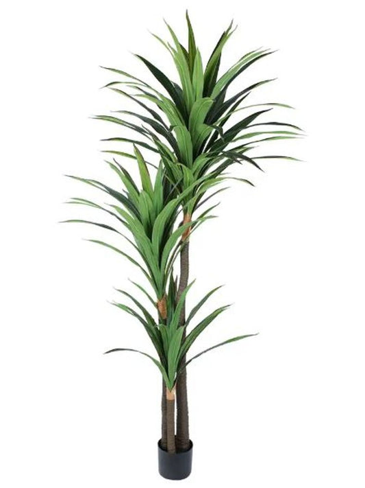 7" Green Artificial Yucca In Cylindrical Black Cement Pot HomeRoots