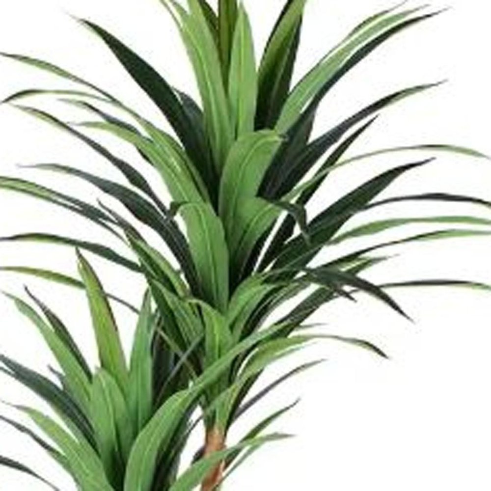 7" Green Artificial Yucca In Cylindrical Black Cement Pot HomeRoots