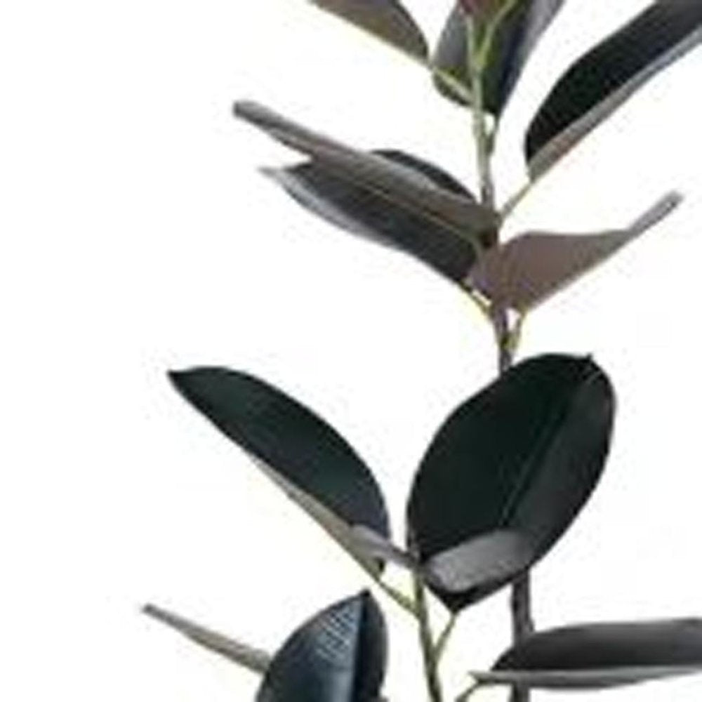 71" Black Artificial Rubber Tree In Cylindrical White Cement Pot HomeRoots