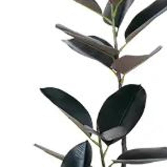 71" Black Artificial Rubber Tree In Cylindrical White Cement Pot HomeRoots