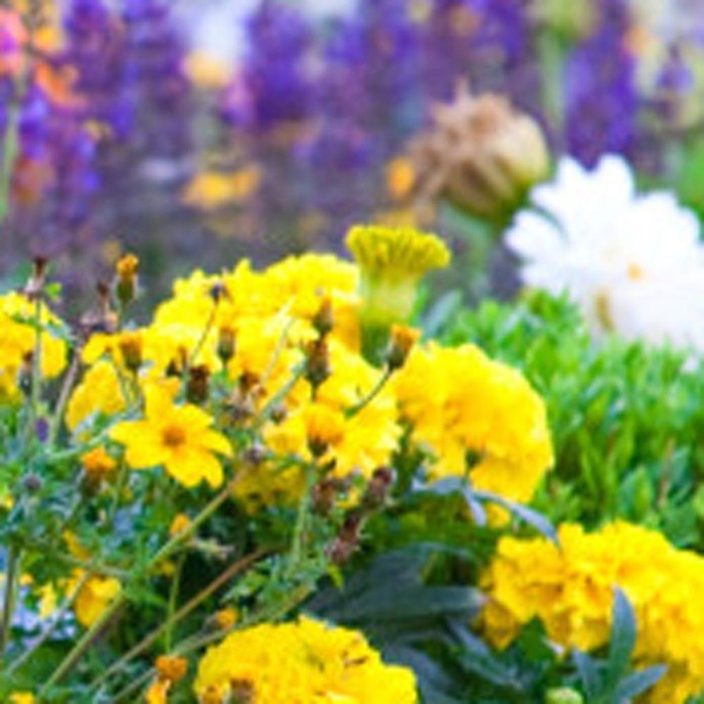 14" Gray Polyresin Faux Rock HomeRoots