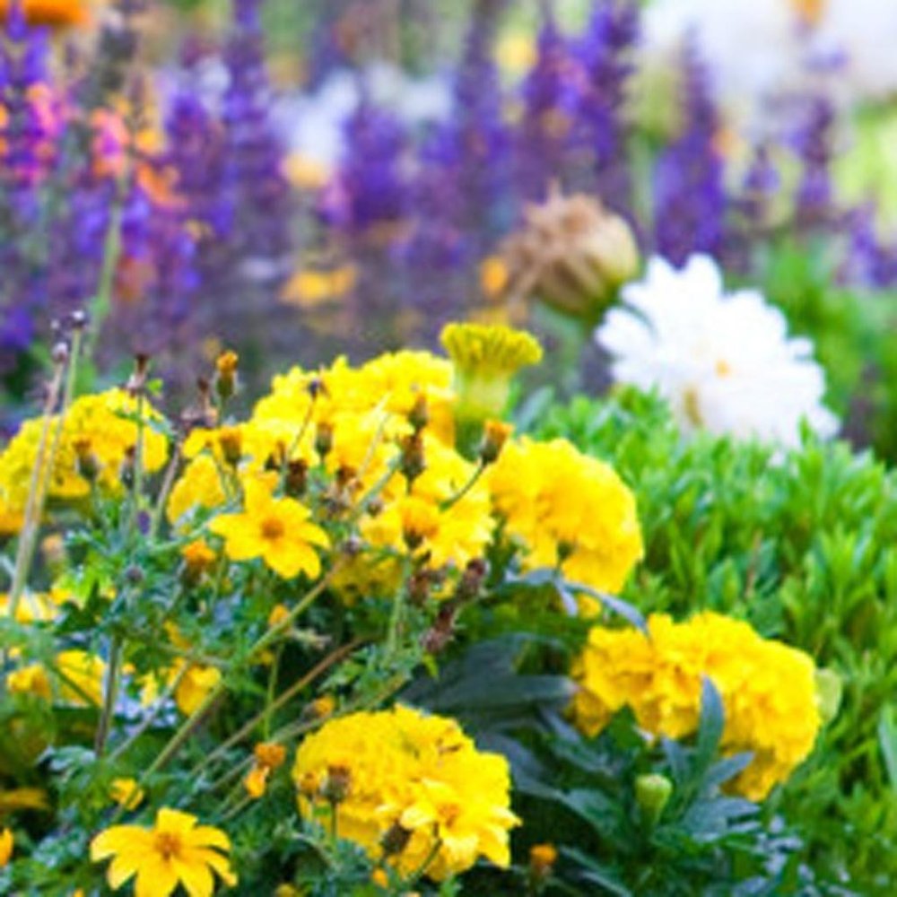 14" Gray Polyresin Faux Rock HomeRoots