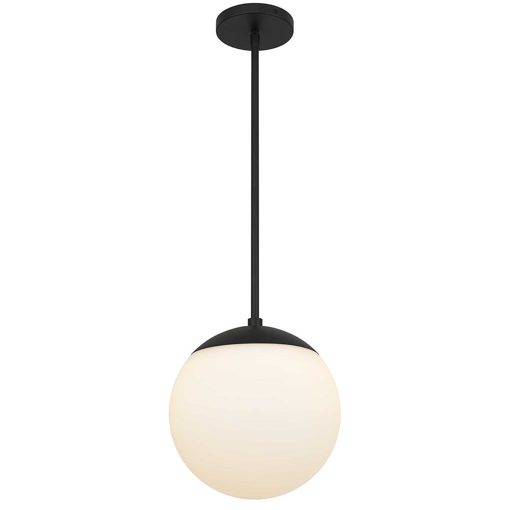 10" Black And White Frosted LED Dimmable Outdoor Globe Hanging Light HomeRoots