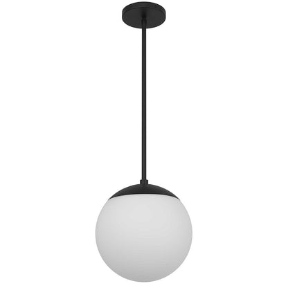10" Black And White Frosted LED Dimmable Outdoor Globe Hanging Light HomeRoots
