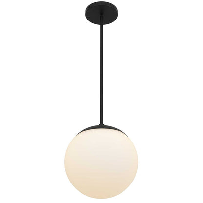 10" Black And White Frosted LED Dimmable Outdoor Globe Hanging Light HomeRoots