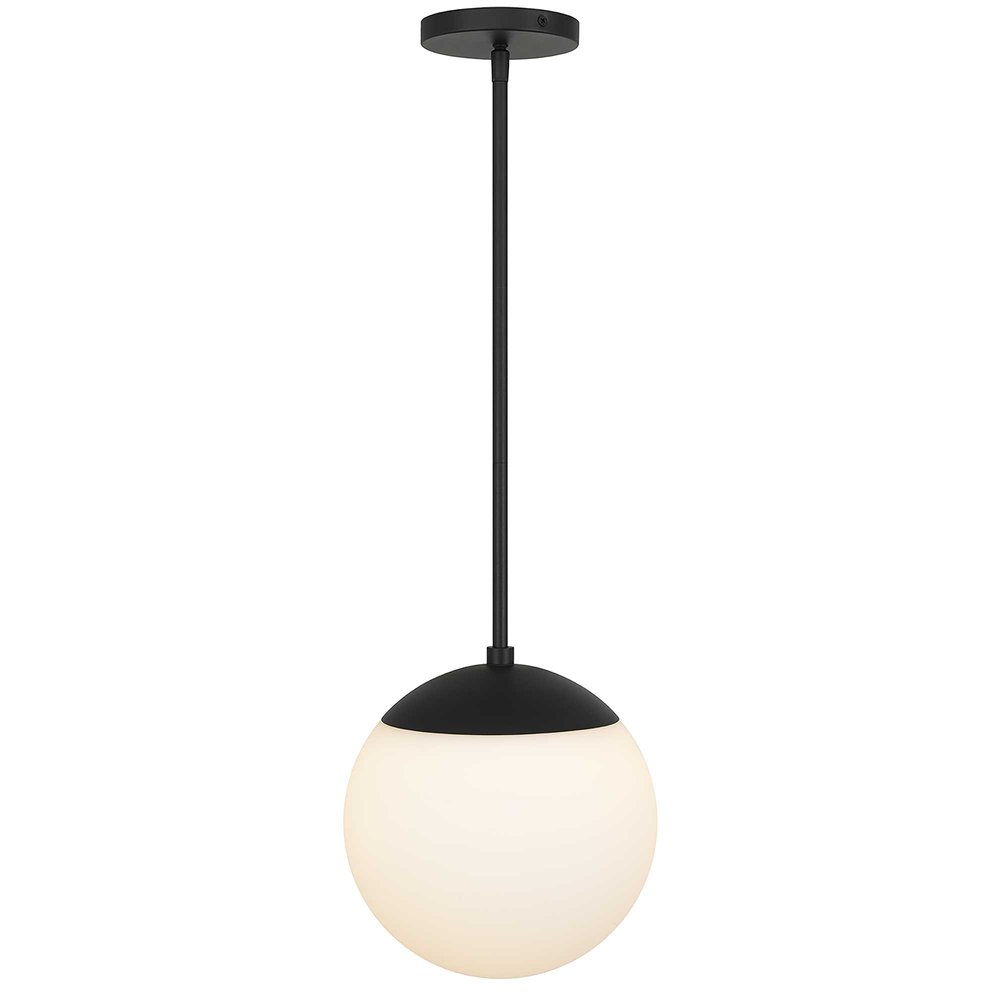 10" Black And White Frosted LED Dimmable Outdoor Globe Hanging Light HomeRoots
