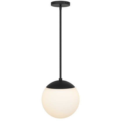 10" Black And White Frosted LED Dimmable Outdoor Globe Hanging Light HomeRoots