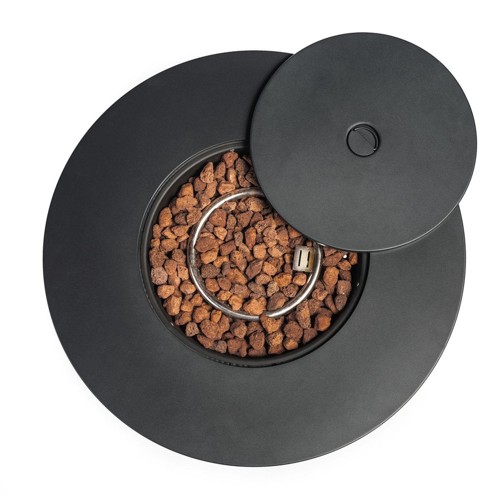 50000 BTU 30" Black Steel Propane Round Fire Pit HomeRoots