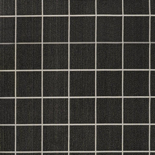4' X 6' Dark Gray And Cream Plaid Indoor Outdoor Area Rug