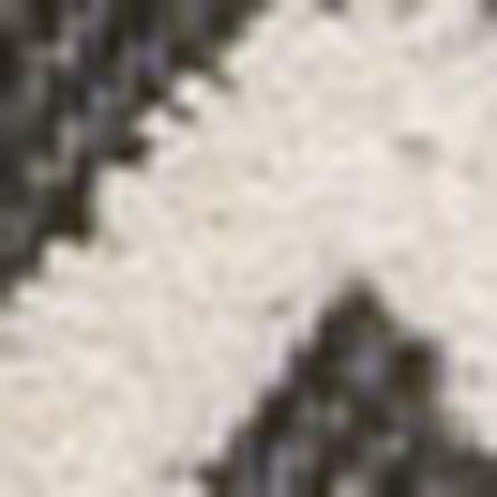 3' X 5' Cream And Black Trellis Indoor Outdoor Area Rug HomeRoots