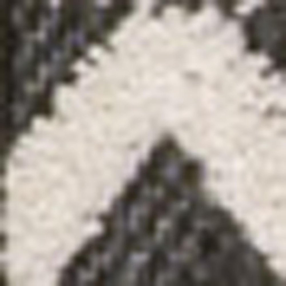 3' X 5' Cream And Black Trellis Indoor Outdoor Area Rug — view 3
