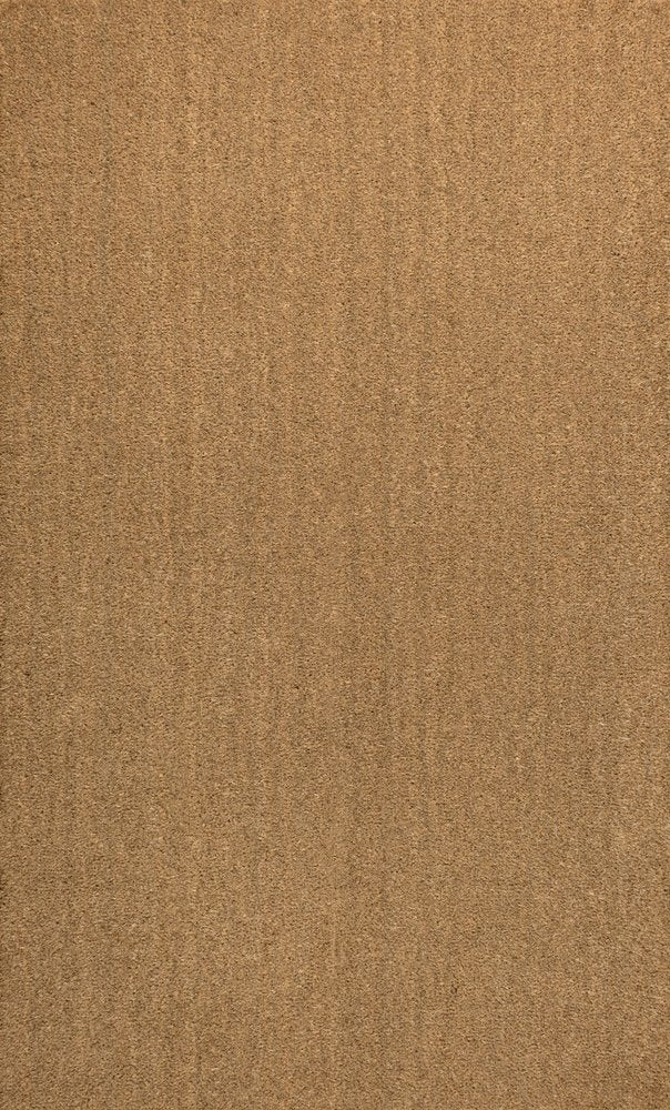 3' X 4' Light Brown Indoor Outdoor Area Rug — view 2