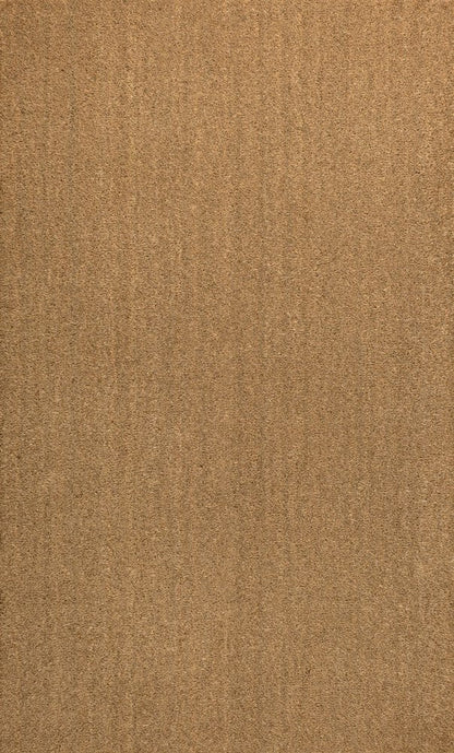 3' X 4' Light Brown Indoor Outdoor Area Rug HomeRoots