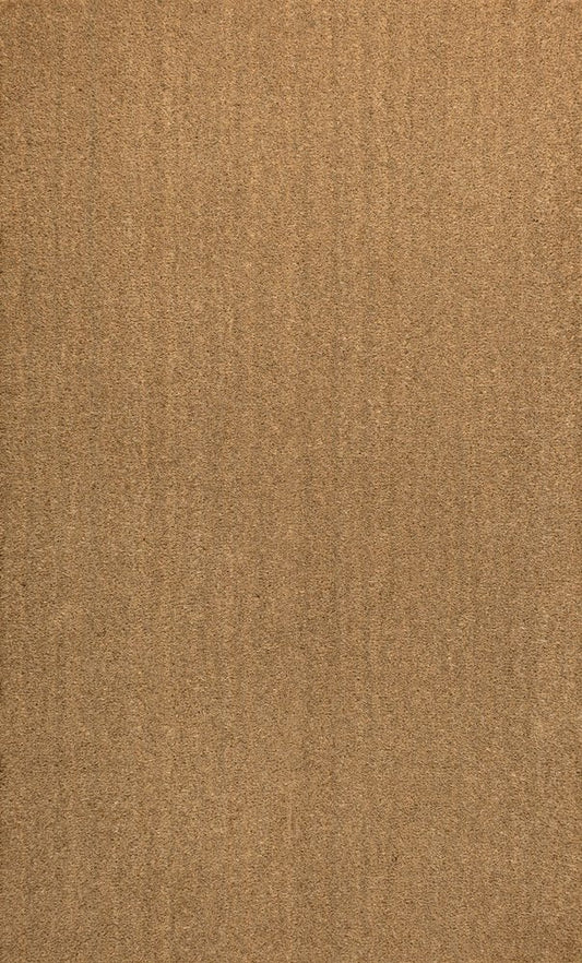 3' X 4' Light Brown Indoor Outdoor Area Rug
