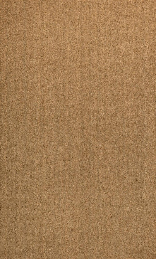 3' X 6' Light Brown Indoor Outdoor Area Rug