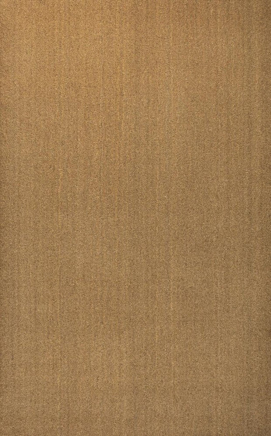 4' X 6' Light Brown Indoor Outdoor Area Rug