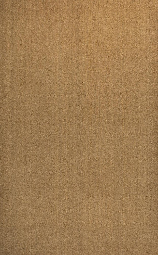 4' X 6' Light Brown Indoor Outdoor Area Rug HomeRoots