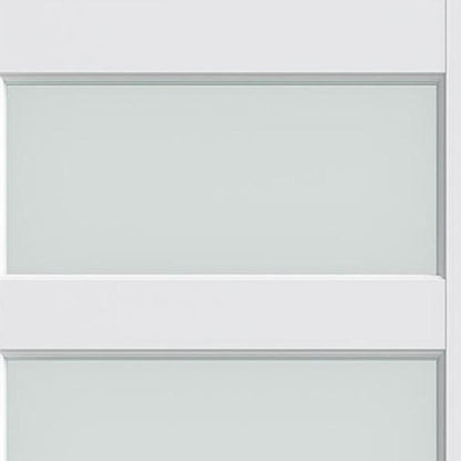 80" X 24" White Wood And Glass Slab Door HomeRoots