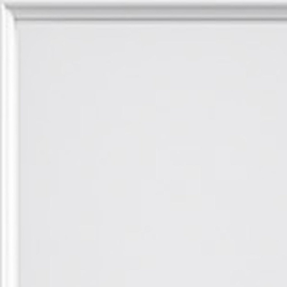 80" X 24" White Glass French Doors HomeRoots