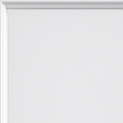 80" X 24" White Glass French Doors HomeRoots
