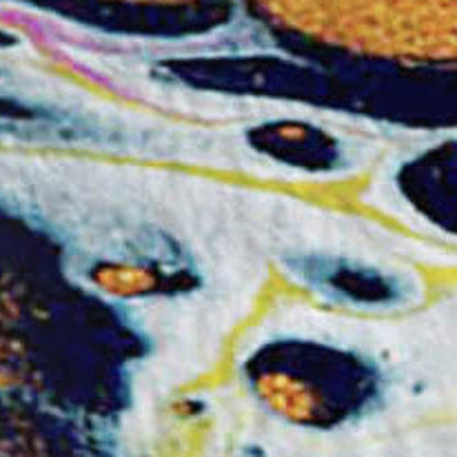 50" X 70" White Blue And Gold Abstract Microfiber Plush Throw Blanket HomeRoots