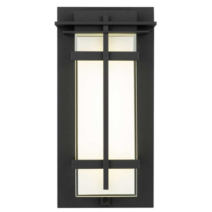 Black Colorful LED Dimmable Outdoor Hanging Light HomeRoots