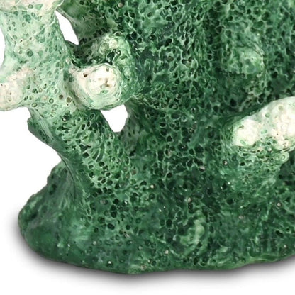 9" Green Resin Hand Painted Coral Tabletop Sculpture HomeRoots