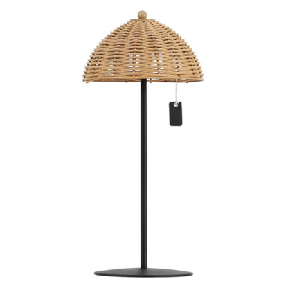 Set of Two 13" Black Novelty USB Table Lamps With Globe Shades HomeRoots