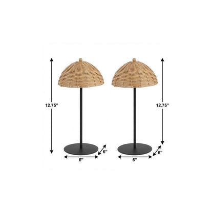 Set of Two 13" Black Novelty USB Table Lamps With Globe Shades HomeRoots