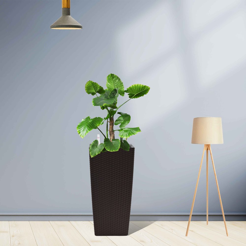 Set of Two Brown Recycled Plastic Round Self Watering Planter Box — view 1