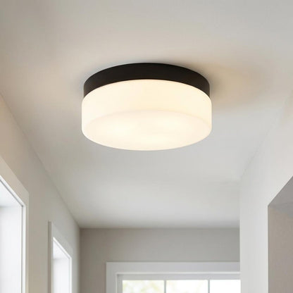 11" Black Metal And Glass Flush Mount Ceiling Light HomeRoots