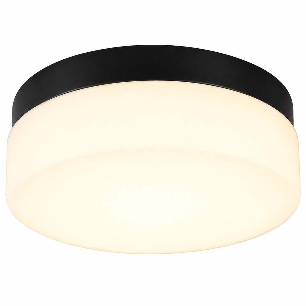 11" Black Metal And Glass Flush Mount Ceiling Light — view 3