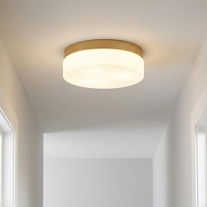 11" Black Metal And Glass Flush Mount Ceiling Light HomeRoots