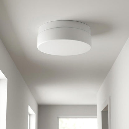 11" Black Metal And Glass Flush Mount Ceiling Light HomeRoots