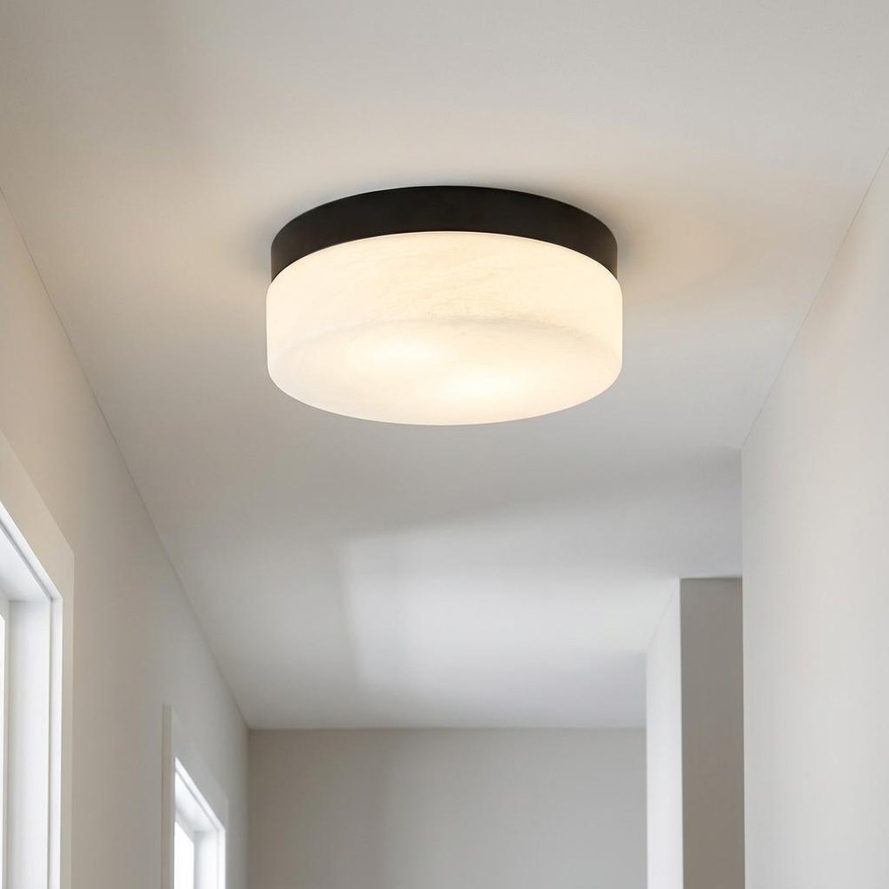 11" Black Metal And Frosted Glass Flush Mount Ceiling Light HomeRoots