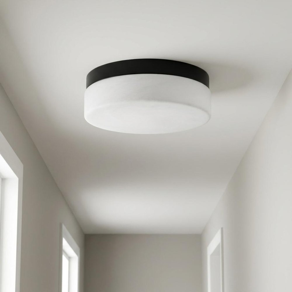 11" Black Metal And Frosted Glass Flush Mount Ceiling Light HomeRoots