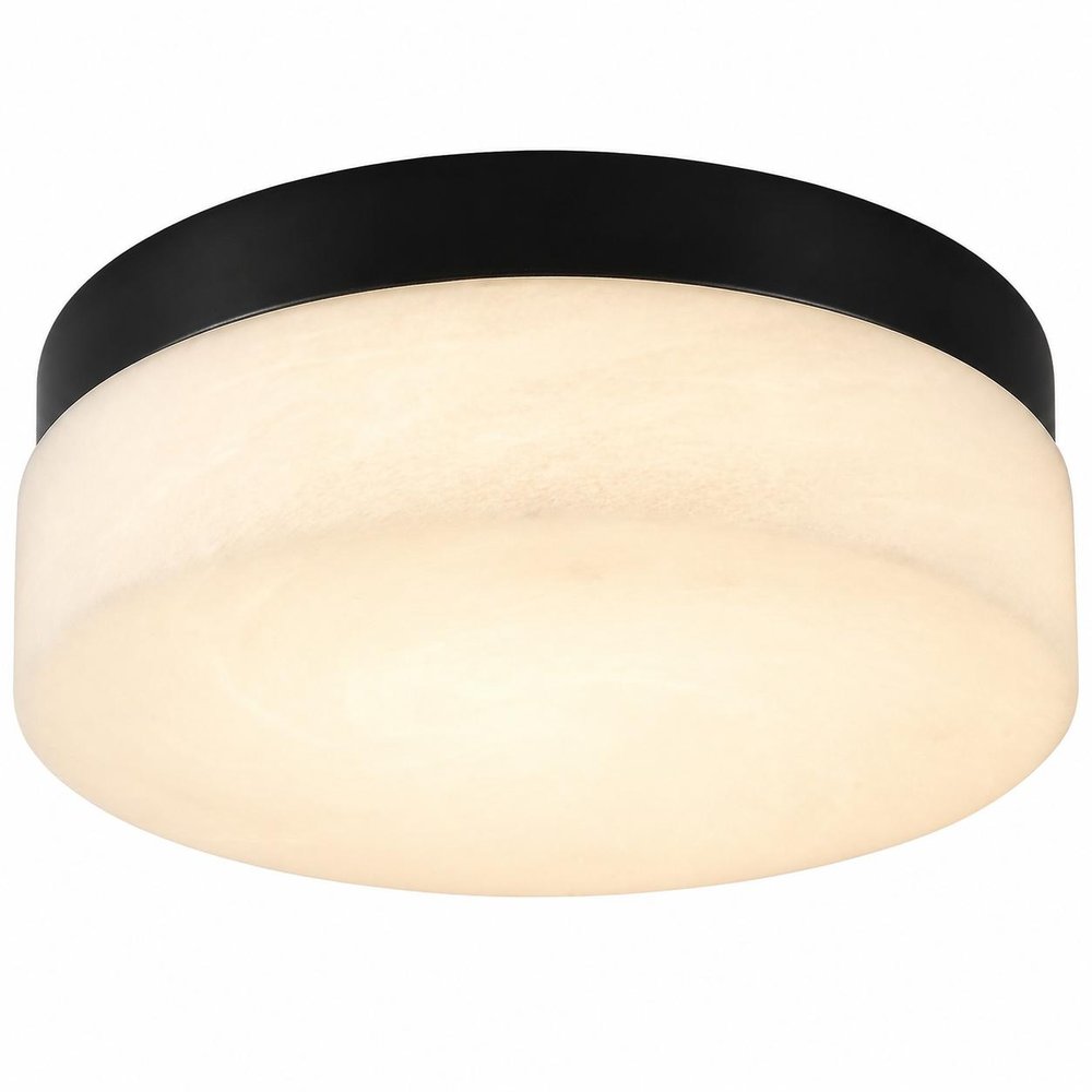 11" Black Metal And Frosted Glass Flush Mount Ceiling Light HomeRoots