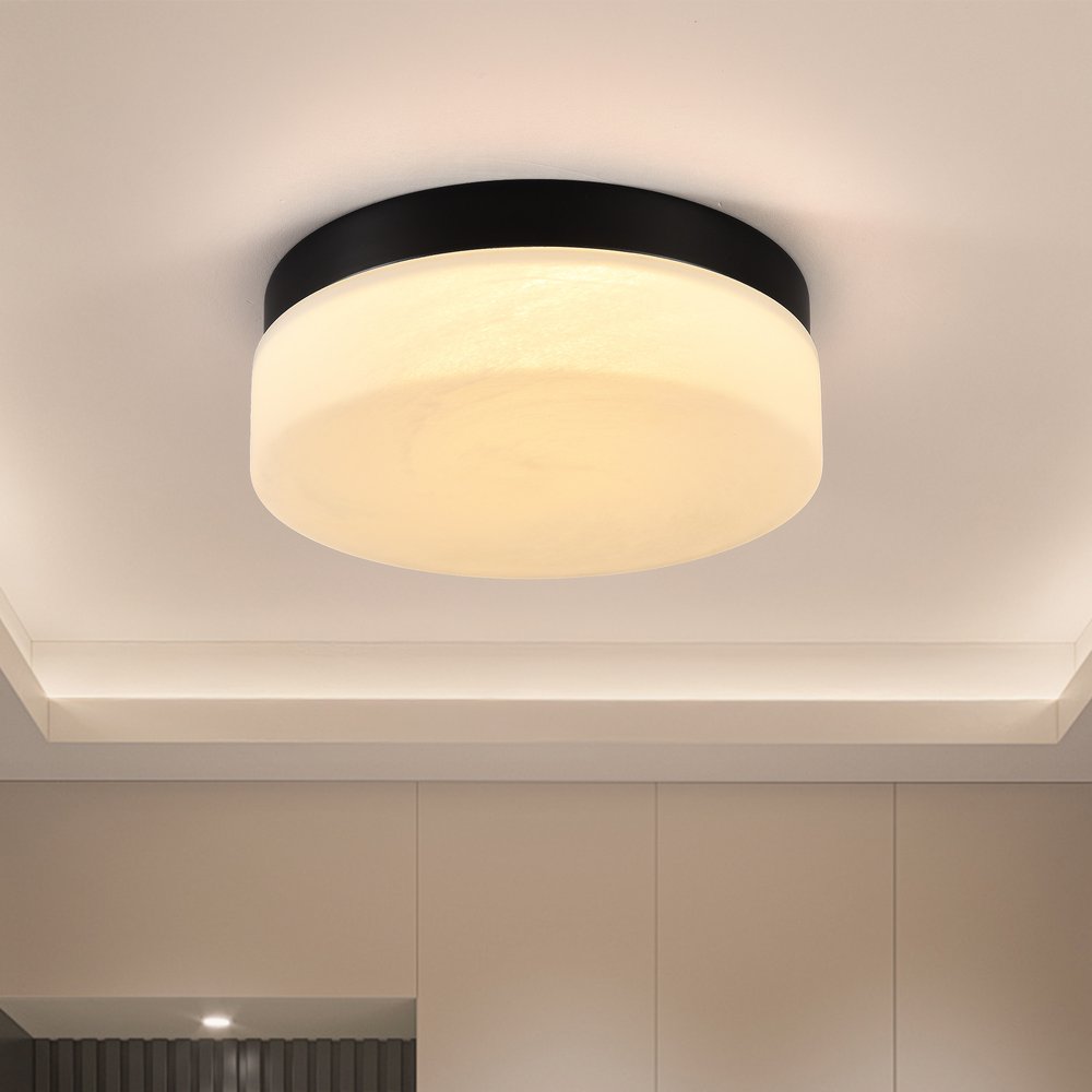 11" Black Metal And Frosted Glass Flush Mount Ceiling Light HomeRoots