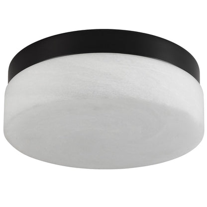 11" Black Metal And Frosted Glass Flush Mount Ceiling Light HomeRoots
