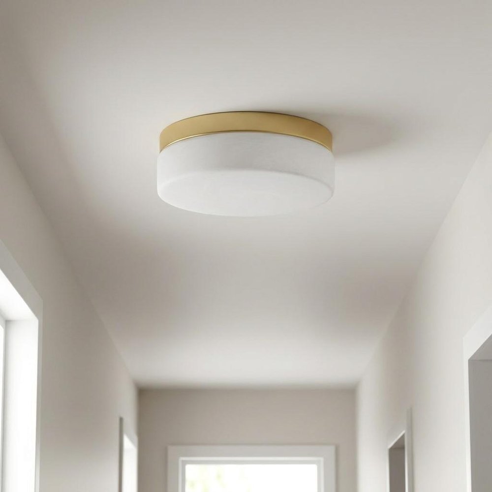 11" Black Metal And Frosted Glass Flush Mount Ceiling Light HomeRoots