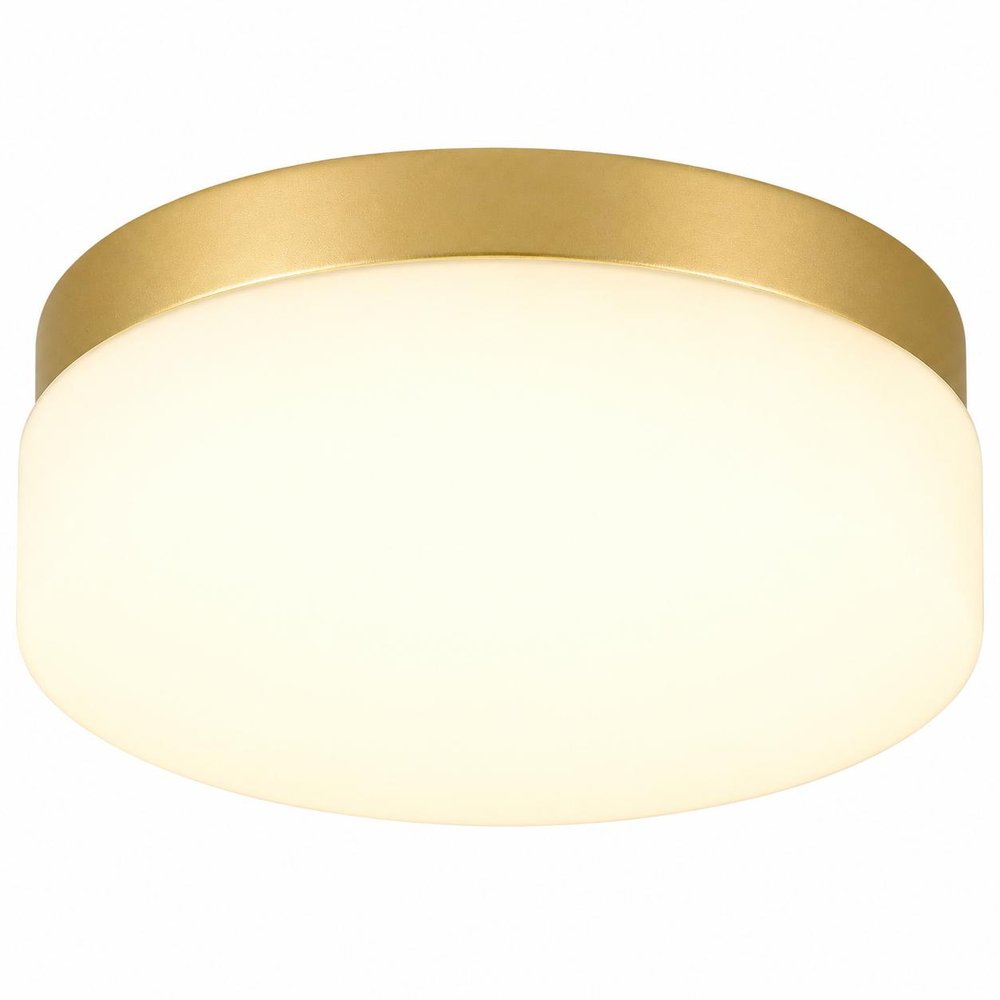11" Black Metal And Frosted Glass Flush Mount Ceiling Light HomeRoots